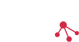 Network Native Logo